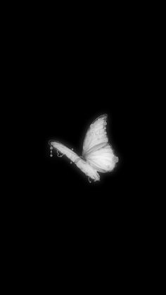 a white butterfly flying through the dark sky