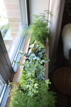 a window sill filled with lots of green plants