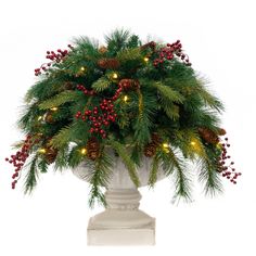 urn filler with cone and berry detail with white lights on Outdoor Urns, Christmas Urns, Outdoor Christmas Planters, Christmas Stem, Battery Operated Led Lights, Christmas Wreaths & Garlands, Colored Led Lights, Christmas Planters, Led Light Design