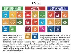 an info sheet with the words environmental, social and government