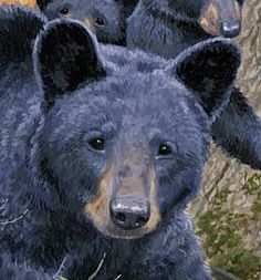 three black bears standing next to each other