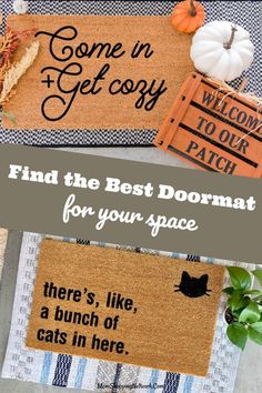 the best doormats for your space and where to put them in there's like, a bunch of cats in here