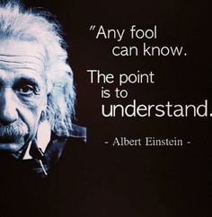 albert einstein quote about the point is to understand