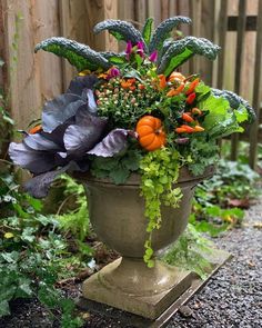 a potted planter filled with lots of different types of flowers and greenery