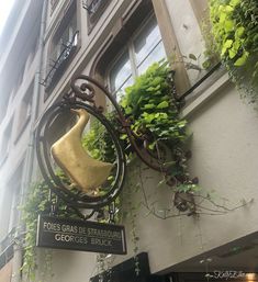 a sign hanging from the side of a building next to a planter filled with green plants