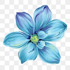 a blue flower on a white background