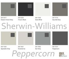 the color scheme for sherylin - williams's peppercorn paint colors