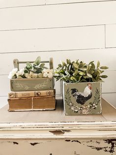 two tin containers with plants and books on a table