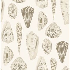 a black and white drawing of sea shells on a white wallpaper with polka dots