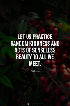 the quote let us practice random kindness and acts of senseless beauty to all we meet