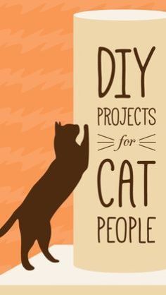 there is a cat that is standing next to a coffee cup with the words diy projects for cat people on it