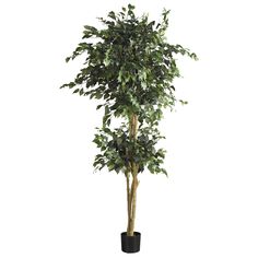 6' Double Ball Ficus Silk Tree Lush Aesthetic, Artificial Plants Indoor, Artificial Plants And Trees, Ficus Tree, Artificial Plants Outdoor, Silk Tree, Artificial Trees, Potted Trees, Artificial Tree