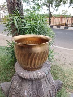 a planter sitting on top of a rock in front of a tree and grass