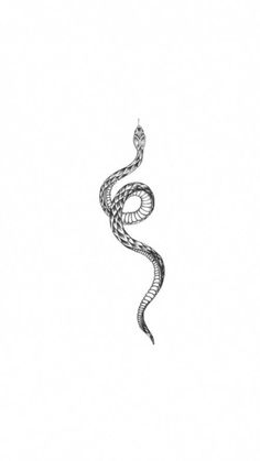 a black and white drawing of a snake