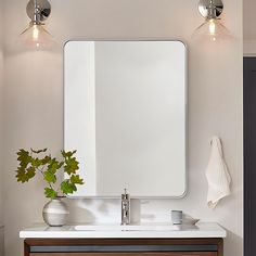 a bathroom vanity with a large mirror above it and a potted plant on the counter