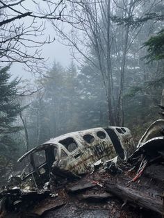 an airplane that is sitting in the woods