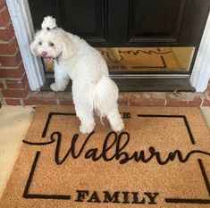 a small white dog standing in front of a door mat that says, walnut family