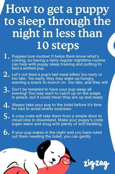 the instructions for how to get a puppy to sleep through the night in less than 10 steps