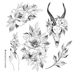 some flowers and an animal's skull on a white background