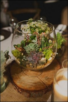 a glass bowl filled with plants on top of a wooden table