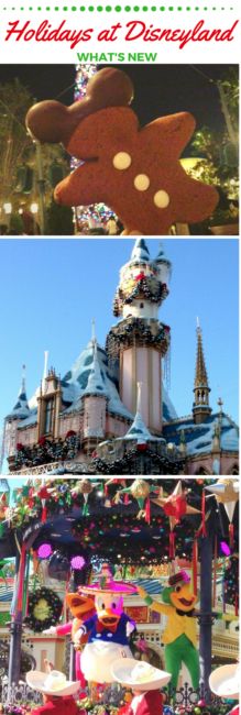 the holidays at disneyland land and mickey's christmas wonderland