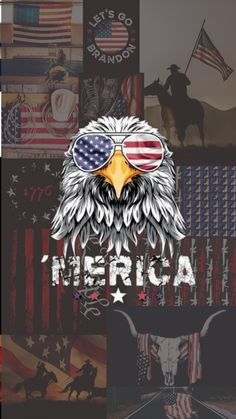 an eagle with sunglasses and the words america on it's face is surrounded by american flags