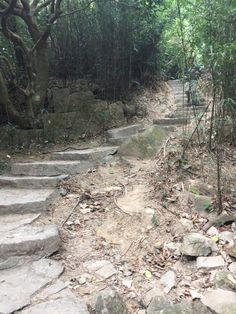 a stone path in the middle of a forest