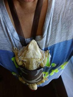 a bearded lizard is sitting in a cup on someone's shoulder while wearing a camera strap