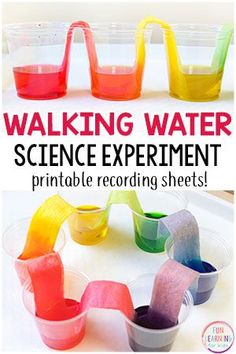 the science experiment is fun and easy for kids to do while they are on vacation