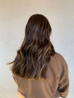 Staying warm all summer long 🤎 Natural Chestnut Brown Hair, Highlights Brown Hair Subtle, Hazel Balayage, Baby Lights Miel, Bruslight Hair, Lived In Haircut, Brown Hair With Caramel Lowlights, Brushlight Hair Brown, Cappuccino Brown Hair