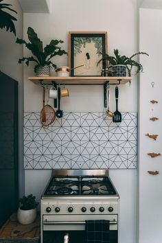 a stove top oven sitting inside of a kitchen next to a wall mounted potted plant