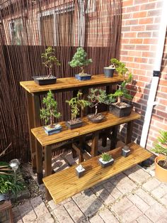 a wooden shelf filled with potted plants on top of a brick floor next to a fence