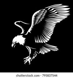 an eagle is flying in the air with its wings spread out, black and white