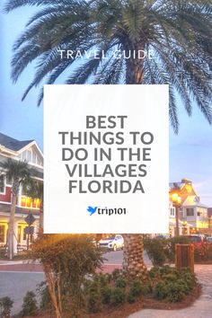 a palm tree sitting in front of a sign that says best things to do in the villages florida