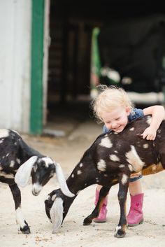 Country Living ~ Nubian Goats, Nubian Goat, Life On The Farm, Companion Animals, Farm Kids, Silly Games, Country Kids, Goat Farming, Baby Goats