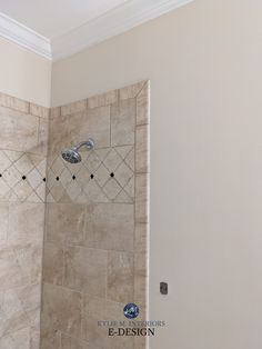 a bathroom with a walk in shower next to a white wall