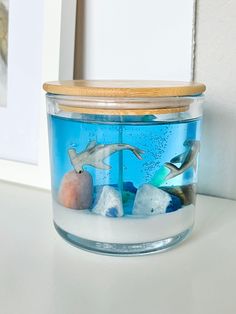 a glass jar filled with rocks and sea animals on top of a white countertop