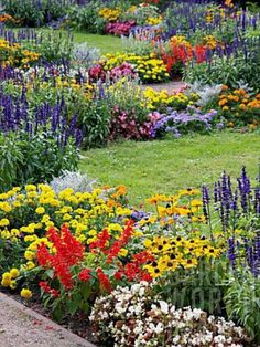 colorful flower garden with lots of flowers in the foreground and grass on the other side