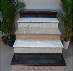 marble stairs with planters and potted plants