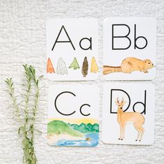 three cards with animals and letters on them sitting next to a sprig of grass