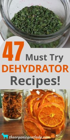 several different types of food in jars with the words 47 must try dehydraator recipes