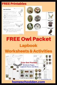 an owl packet with pictures and text that reads, free owl packet lapbook worksheets & activities