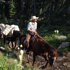 two men are riding horses through the woods