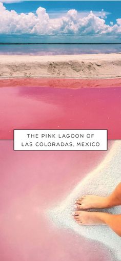 the pink lagoon of las coloradas, mexico is one of the most beautiful places in the world