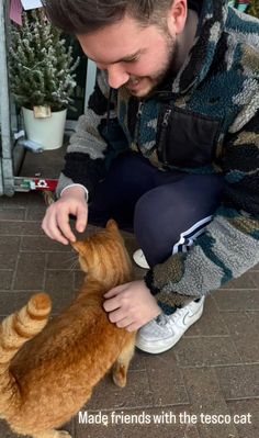 a man petting an orange cat on the ground