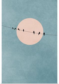 birds sitting on a wire with the sun in the background