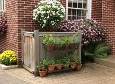 some potted plants and flowers in front of a brick building with white windows on the side