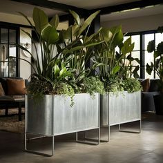 three metal planters with plants in them