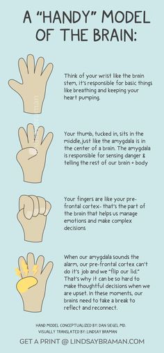 Flipping Your Lid Brain, Wilbarger Brushing Protocol Handout, Flip Your Lid Brain Activity, Social Work Practicum, Social Emotional Learning For Adults, Uno Counseling Game, Self Regulation Adults, Flipping Your Lid, Regulate Emotions Adults