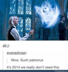 an image of harry potter and the white wolf with caption that reads, it's 2011 we really don't need this